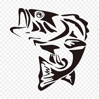 Largemouth bass Fishing Clip art - Line drawing fish 