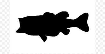 Largemouth bass Silhouette Bass fishing Clip art - Bass Jumping Cliparts 