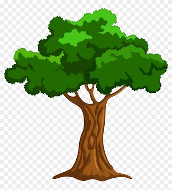 Largest Cartoon Pictures Of A Tree Png Clip Art Best - Cartoon Picture Of Tree
