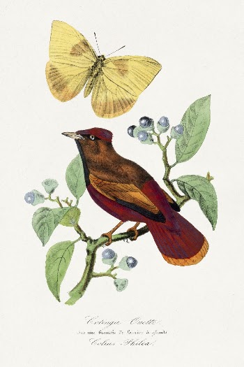 Larks painting, Le Jardin Des | Free Photo Illustration - rawpixel