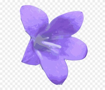 Larkspur Flower Png