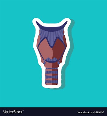 Larynx paper sticker on stylish background vector image