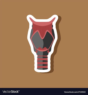 Larynx paper sticker on stylish background vector image