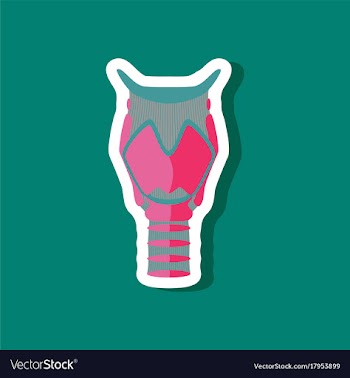 Larynx paper sticker on stylish background vector image
