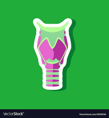 Larynx paper sticker on stylish background vector image