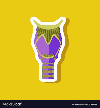 Larynx paper sticker on stylish background vector image