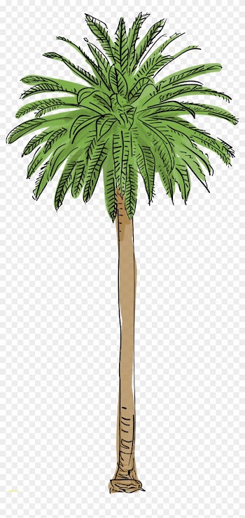 Las Palm Trees Are Dying And Its Changing The Citys - Palm Tree