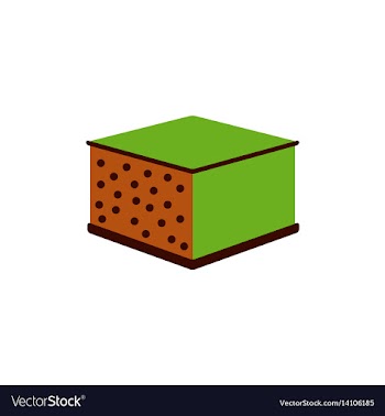 Lasagna vector image