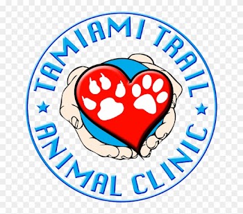 Last Generation Medical Equipment - Tamiami Animal Hospital