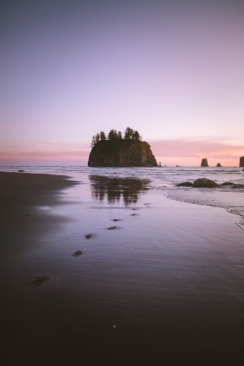 last light in the pacific northwest... follow me for more on Instagram - @petenathanson