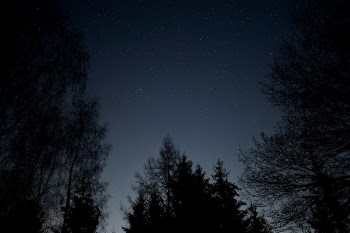 Last night I ventured myself alone in the woods. I cannot say that I was there at ease given that taking photos in a pitch dark area in the woods isn’t something for the faint-hearted. However, the view of the night sky among the trees was worth the risk.