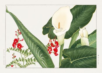 Lathyrus & calla lily flower, | Free Photo Illustration - rawpixel