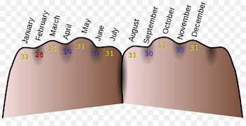 Latin mnemonics Memory Knuckle mnemonic Acronym - months 