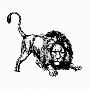 Launching lion vintage drawing | Free stock vector - 572572