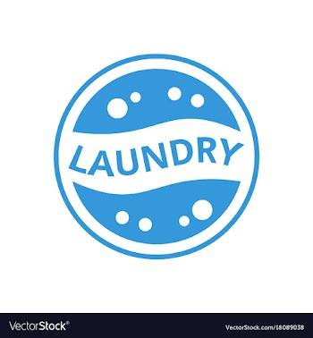 Laundry logo vector image