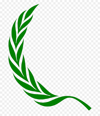 Laurel Leaf Crown png download - 814*1024 - Free Transparent ...