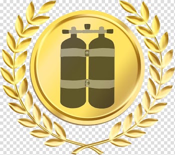 Laurel wreath Bay Laurel Crown Medal, crown transparent background PNG clipart