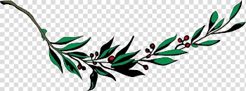 Laurel wreath Bay Laurel , olive branch transparent background PNG clipart