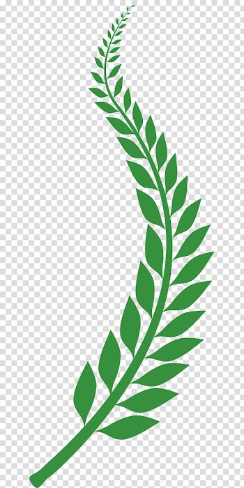 Laurel wreath Bay Laurel, wheat transparent background PNG clipart