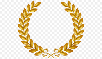 Laurel wreath Clip art - gold wreath png download - 600*514 - Free ...