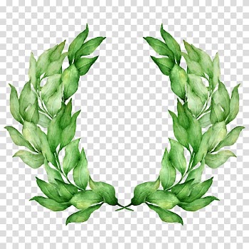 Laurel wreath Drawing Watercolor painting graphics, tears of a tiger transparent background PNG clipart