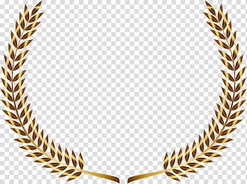 Laurel wreath Gold Bay Laurel , GOLD LINE transparent background PNG clipart