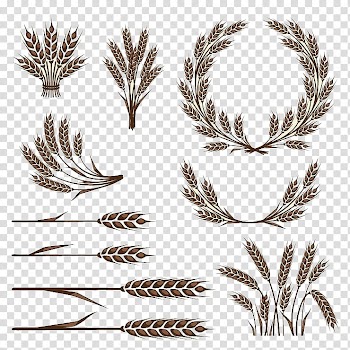 Laurel wreath illustration collage, Wheat Icon, Rice transparent background PNG clipart