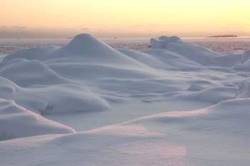lauttasaari_0722-64.JPG