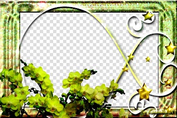 Lav Frames , green moth orchids frame transparent background PNG clipart