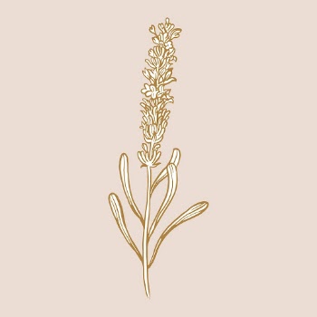 Lavender flower collage element, brown | Free Vector Illustration - rawpixel
