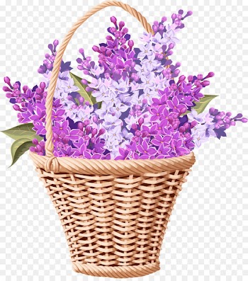 Lavender Flower - Lavender flower baskets 