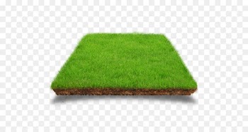 Lawn Artificial turf Download - model 