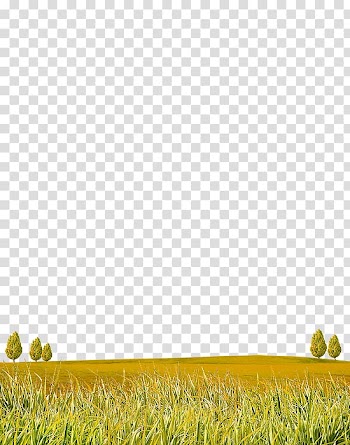 Lawn , Autumn grass material transparent background PNG clipart