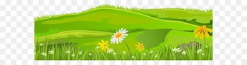 Lawn Clip art - Grass Cover PNG Clip Art Image 
