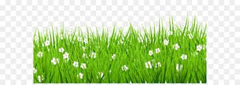 Lawn Clip art - Transparent Grass with White Flowers Clipart 