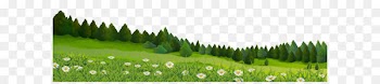 Lawn Clip art - Trees and Grass PNG Clip Art Image 