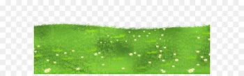 Lawn Grasses Clip art - Grass Ground with Daisies PNG Clipart 