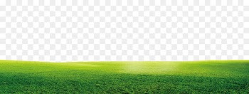 Lawn Grassland Sky Atmosphere Wallpaper - Green and fresh grass border texture 