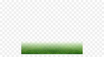 Lawn Icon - Green grass 