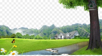 Lawn Landscape Villa - Town landscape background material 
