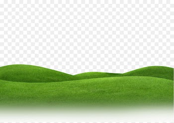 Lawn Meadow Grassland Landscape - hill 
