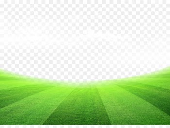 Lawn Meadow Sky Wallpaper - Grass football field 