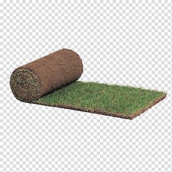 Lawn Mowers Mower blade Sod Artificial turf, Lawngrass transparent background PNG clipart
