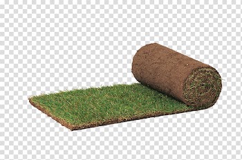 Lawn Murawa Grass /m/083vt Summer, grass transparent background PNG clipart