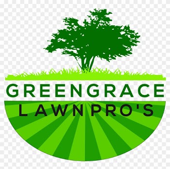 Lawn - Tree