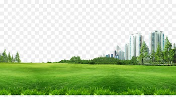 Lawn Wallpaper - Building material pull grass background Free 