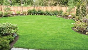 Lawn, Yard and Garden Services in Denver