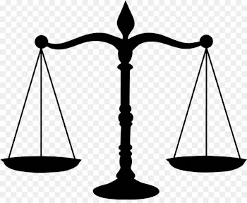 Lawyer United States of America Removal proceedings Law firm - lawyer 