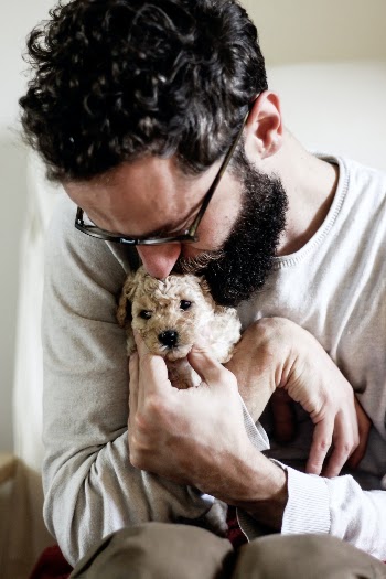 Laya the poodle as a puppy.
https://www.instagram.com/valentinsalja/