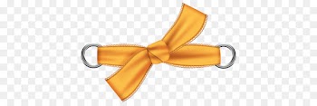 Lazo Ribbon - others 